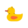 shape-img